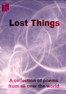 Lost things front cover